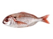 Pescados Pescados
