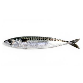 Caballa