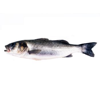 Lubina de estero (hasta 2 kg)