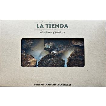Bandeja de Ostra de Belon