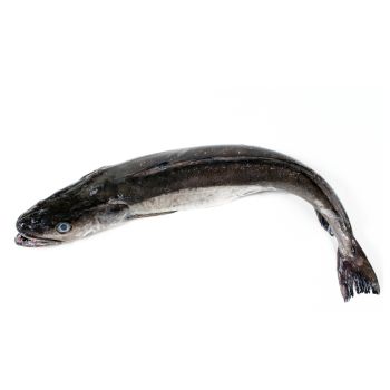 Merluza de pincho