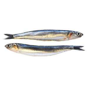 Boquerón