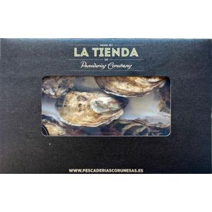 Bandeja de Ostra Spéciale De Claire Preabierta 