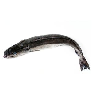 Merluza de pincho