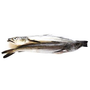 Pescadilla de ración